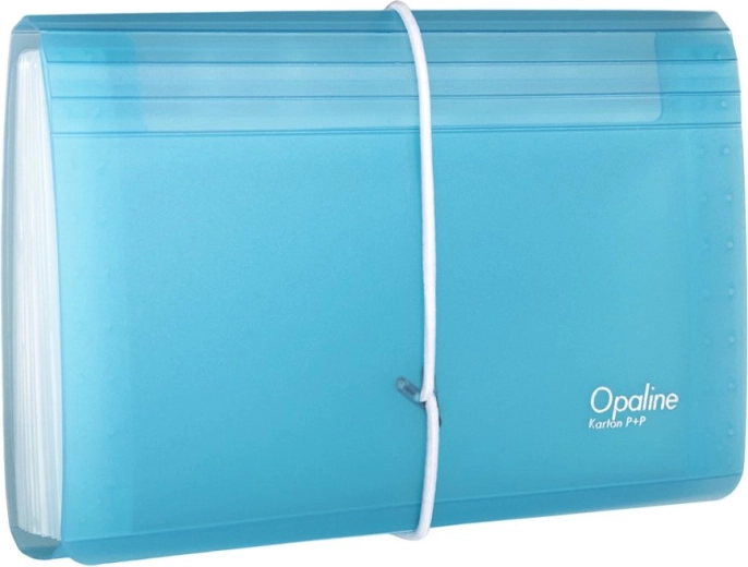 Organizador de documentos con goma DL Opaline transparente-azul