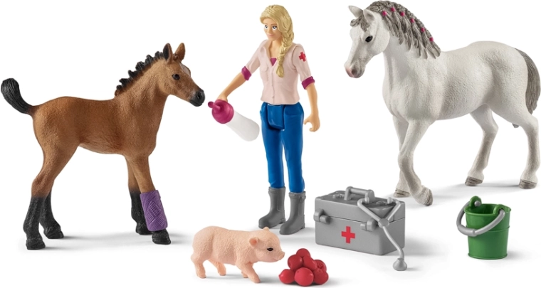 Visita del veterinario a la yegua y al potro