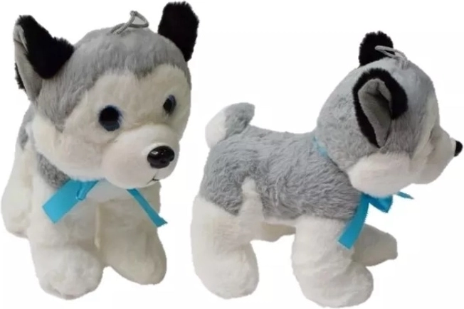 Husky de peluche mediano 20 cm