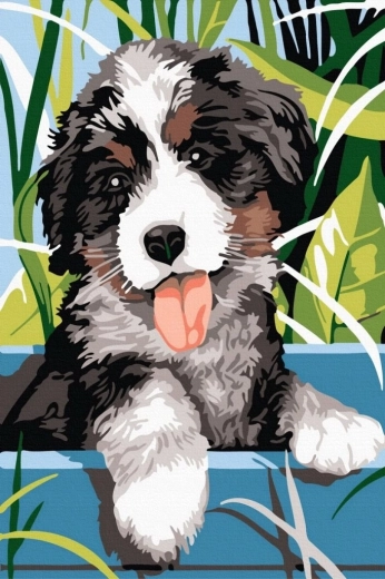Norimpex Pintura por números perro sonriente 40 × 50 cm