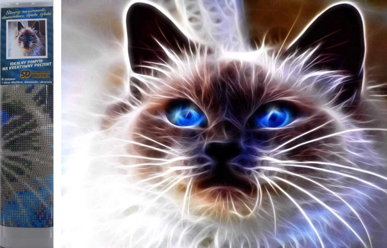 Pintura de diamantes Magia felina 30 × 40 cm