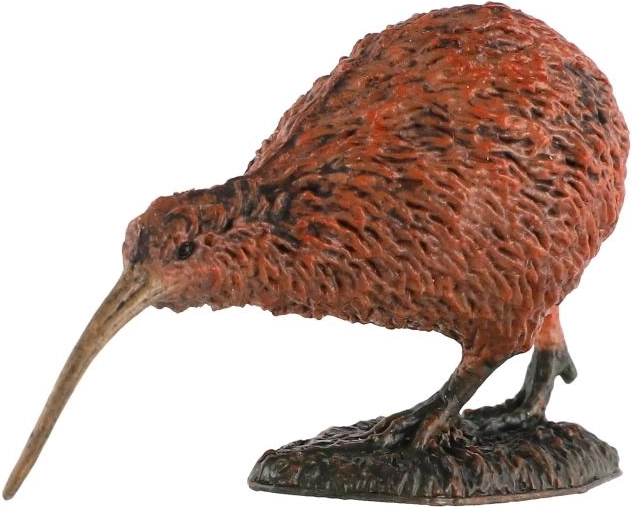 Representación fiel del kiwi