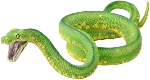 Piton verde – figura COLLECTA