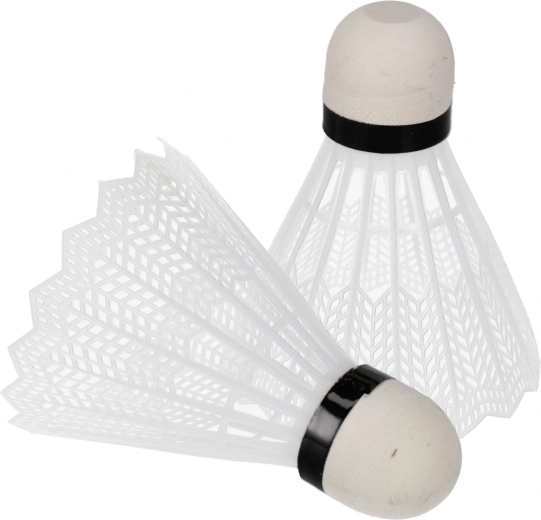 Set completo de bádminton para jugar al instante