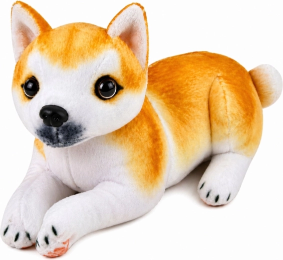 Aspecto realista del Shiba Inu