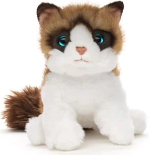 Gato de peluche Ragdoll de 18 cm