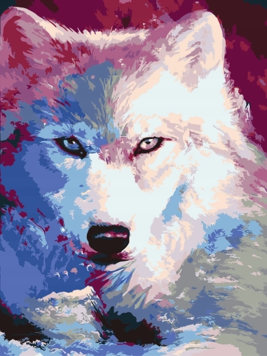 Pintura por números Sombras del lobo blanco 40 × 50 cm