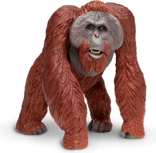 Safari Ltd. orangután de Borneo