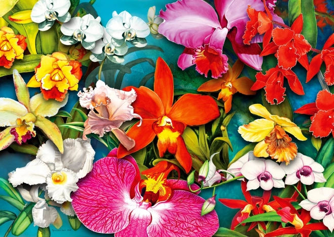 Puzzle Jungla de orquídeas 1000 piezas
