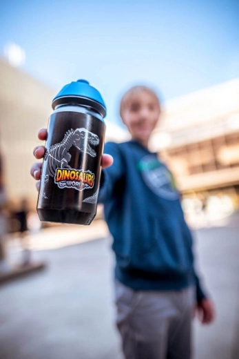 Diseño resistente Dinosaurs World