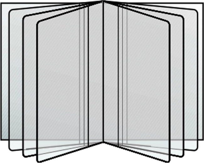 Funda transparente para documentos 80x115 mm