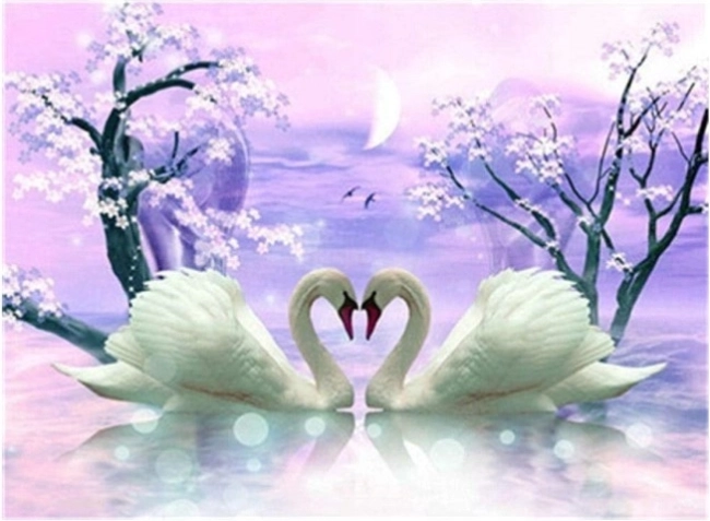 Pintura de diamantes Amor de cisnes 30 × 40 cm