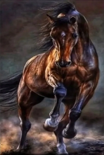 Norimpex pintura con diamantes caballo salvaje 30 × 40 cm