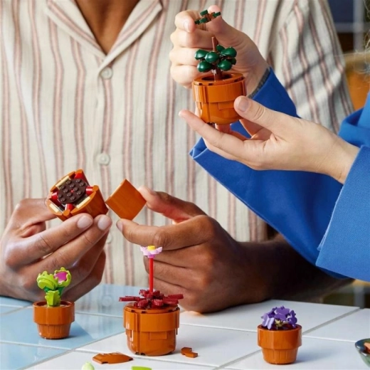 Construcción compartida e instrucciones digitales