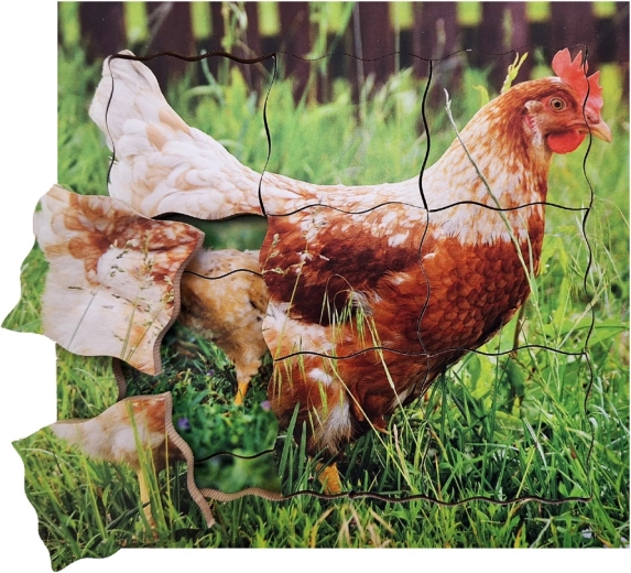 Puzle de madera por capas Gallina y su ciclo de vida