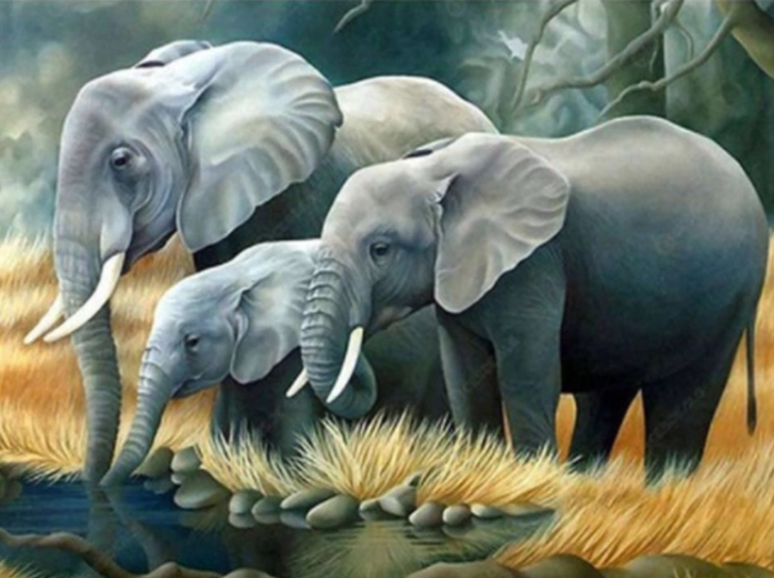 Norimpex pintura por números Familia de elefantes junto al río 40 × 50 cm