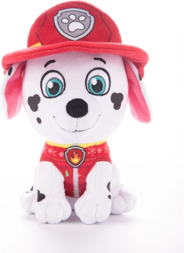 Detalles auténticos de bombero