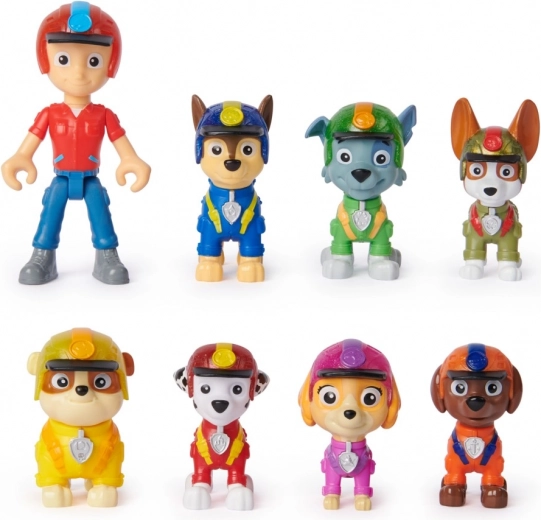 Colección completa de 8 héroes favoritos