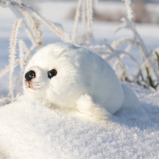 Inspirada en un animal real