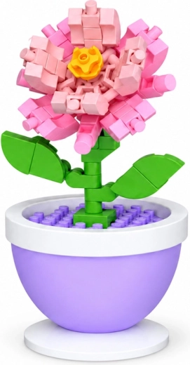 Clavel rosa como decoración
