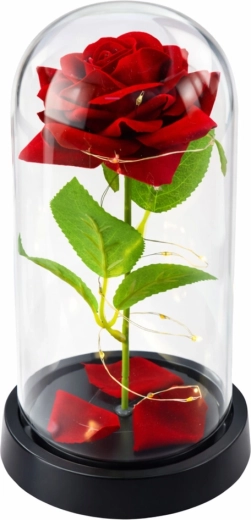 Iluminación LED romántica