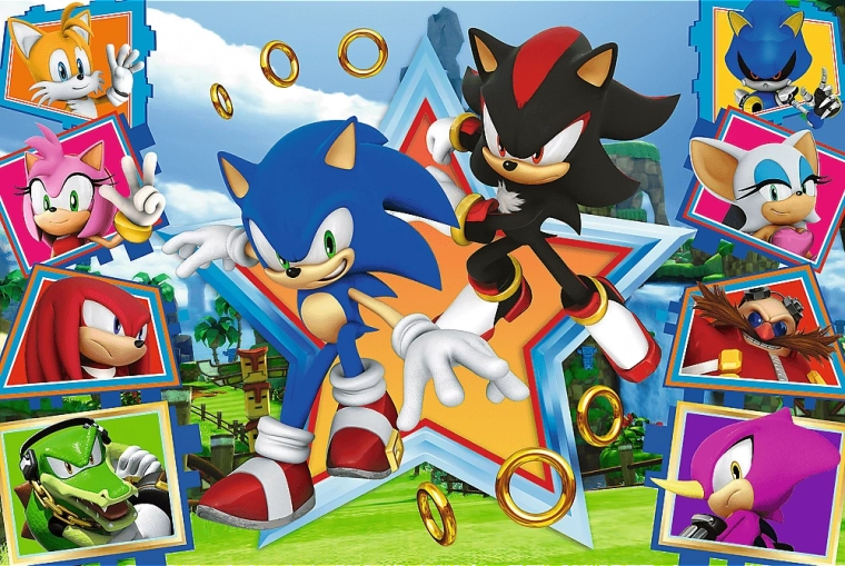Puzle de 100 piezas - Conoce a Sonic