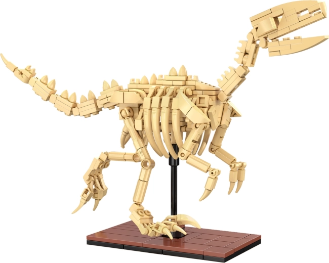 Esqueletos luminosos y acabado de exhibición