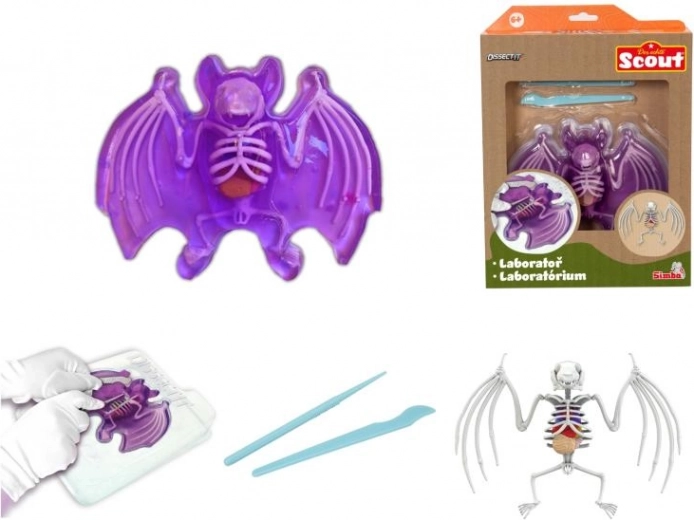 Descubre: disección de murciélago – kit educativo con slime
