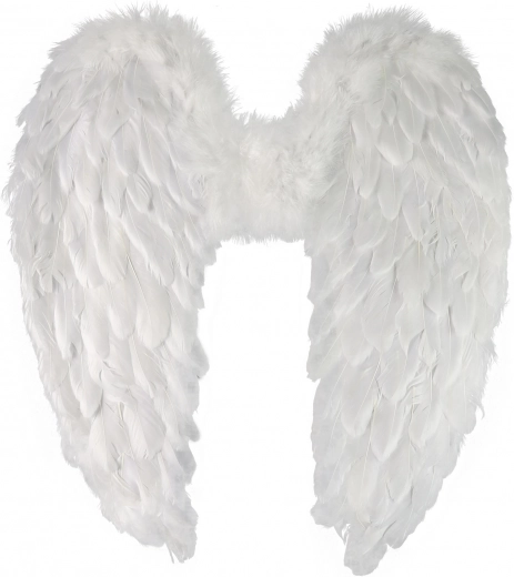 Alas de ángel con plumas