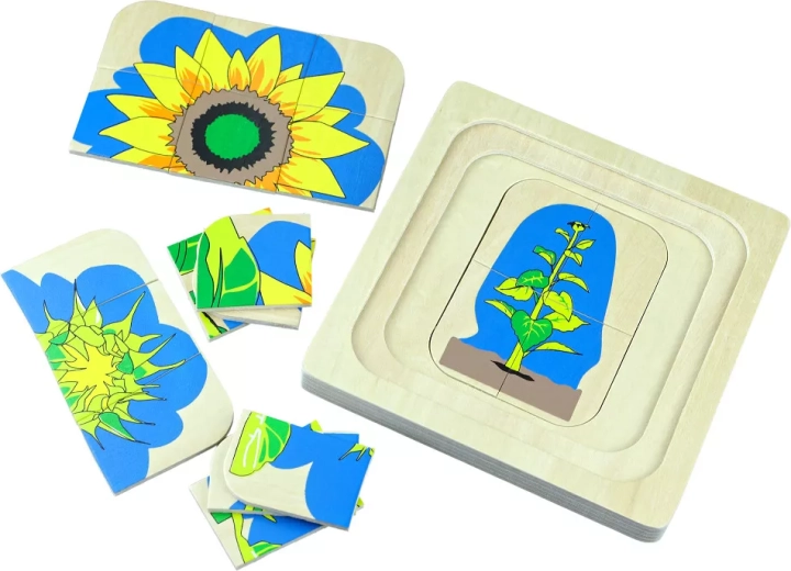 Puzzle de madera multicapa El ciclo de vida de una flor
