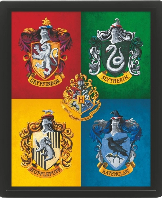 Cuadro 3D Harry Potter a color