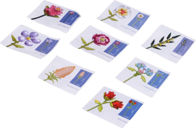 Tarjetas de instrucciones claras