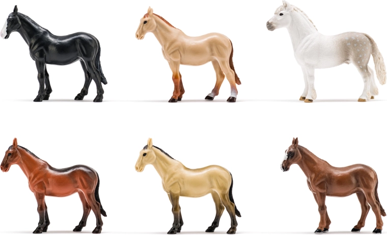 Set de 6 caballos realistas