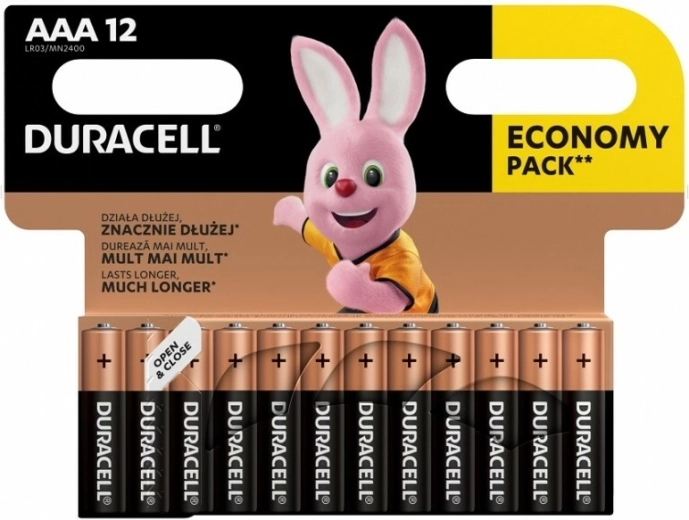 Pilas alcalinas AAA DURACELL Basic, 12 uds