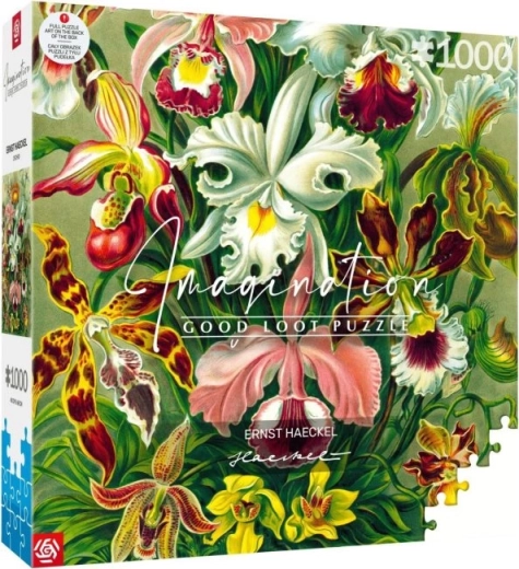 puzle Imagination: Ernst Haeckel – orquídea 1000 piezas