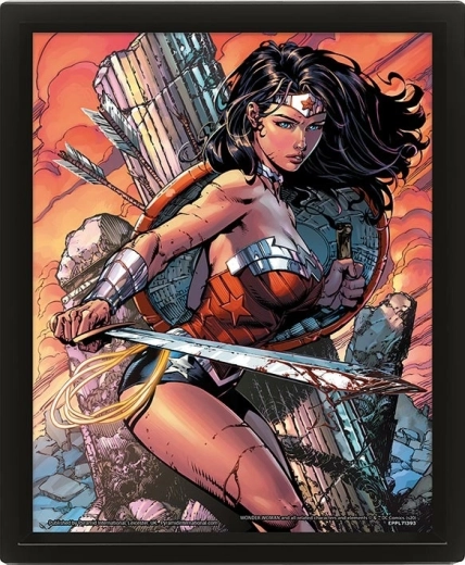 Cuadro 3D WONDER WOMAN Battle