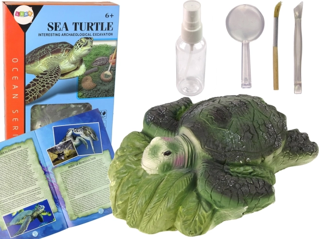 Set educativo de excavación Tortuga Ammonites