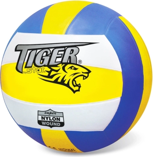 Balón de voleibol