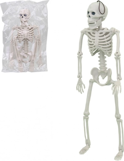 Esqueleto, figura de plástico 40 × 13 × 5 cm