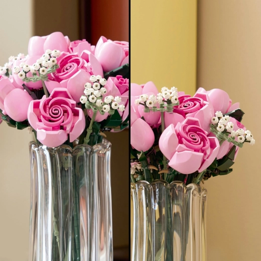Rosas en varias fases de floración