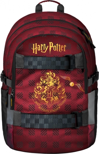 Mochila Skate ligera y ergonómica para la escuela y el tiempo libre
