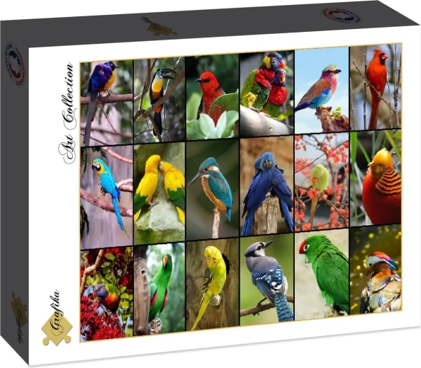 Puzzle Grafika Los pájaros más hermosos del mundo, 1500 piezas