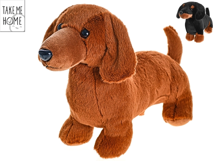 Erizo de peluche 36 cm Take Me Home