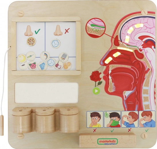 MASTERKIDZ pizarra educativa del sentido del olfato Montessori