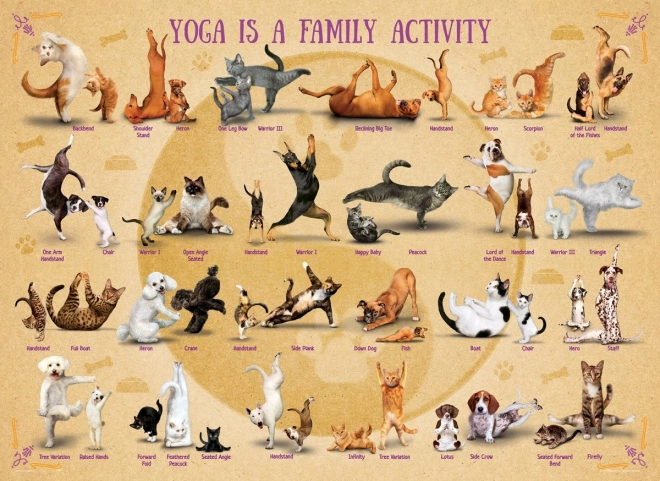 Puzzle Yoga XL de 500 piezas