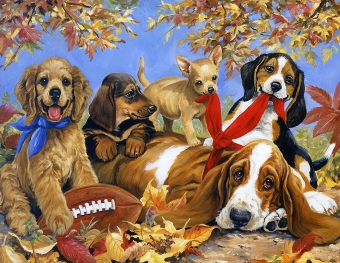 Pintura con diamantes Perros jugando con una pelota 80 × 40 cm