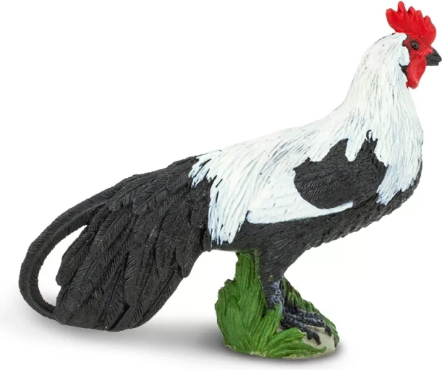 El plumaje de cola típicamente largo del fénix