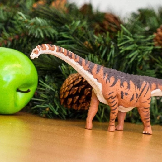 Genial para la naturaleza, la escuela y la colección
