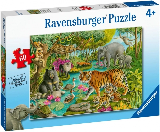 Puzzle Ravensburger Animales de la India 60 piezas