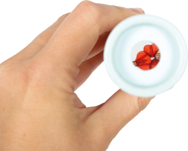 Patrones mágicos y coloridos en cada giro